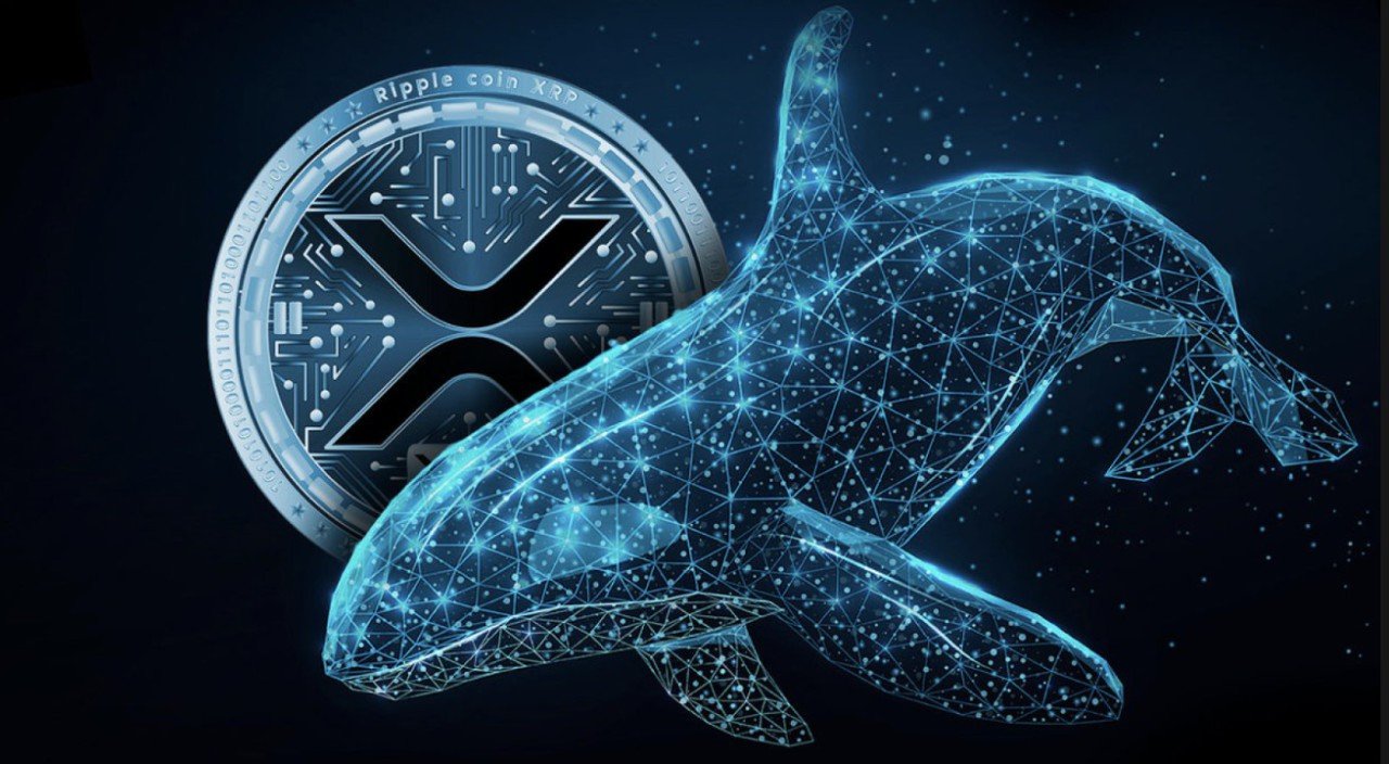 Lonjakan Dompet Whale XRP: Rekor Baru dan Minat Investor Meningkat!