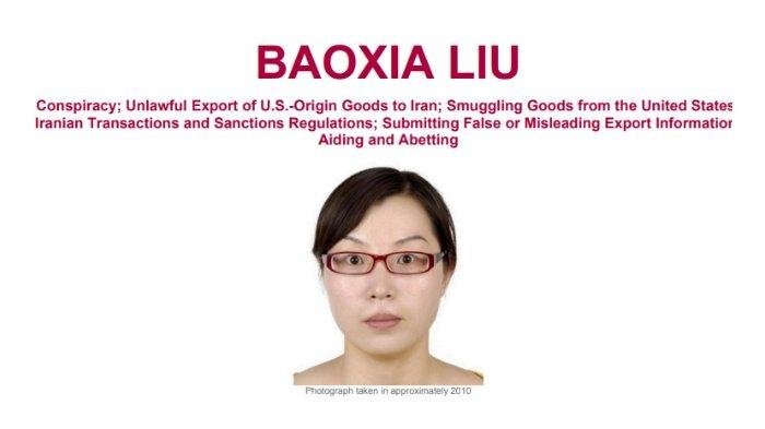 Warga China Baoxia Liu Jadi Buron FBI, Diduga Suplai Senjata ke Iran demi Dukung Perang