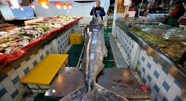 Ketahui Kadar Merkuri yang Terkandung dalam Ikan dan Makanan Laut Ini