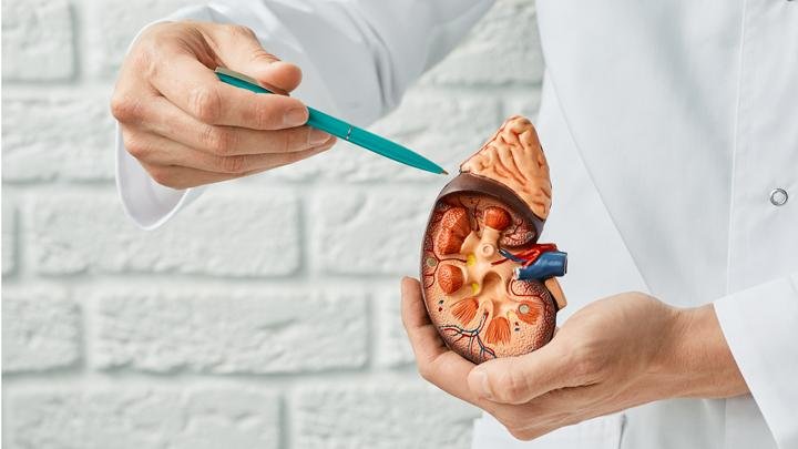 Kilas Balik Richard H. Lawler Melakukan Transplantasi Ginjal Pertama di Dunia 75 Tahun Lalu