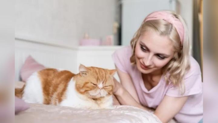 Penyebab dan Cara Mengatasi Kucing Tidak Mau Makan