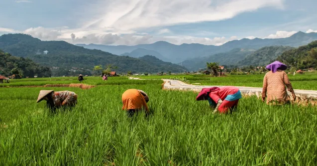 37.000 Petani Gunakan Blockchain-NFT untuk Pertanian Indonesia