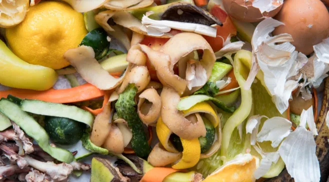 Jangan Dibuang, 9 Sampah Dapur Ini Bisa Menyuburkan Tanaman