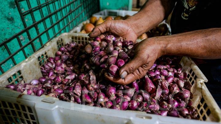 Sepekan Harga Bawang dan Cabai