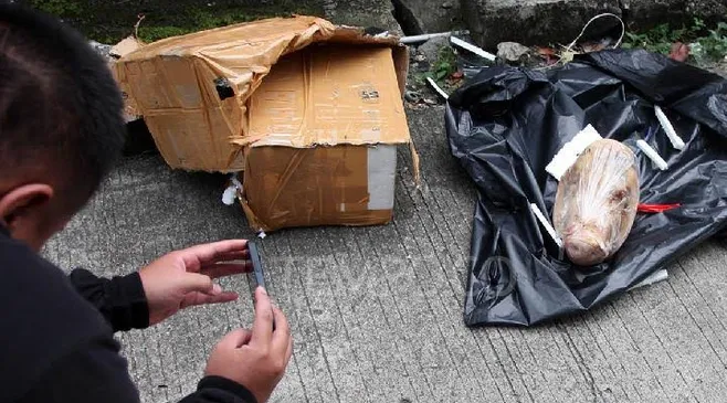 Teror Kepala Babi hingga Bangkai Tikus: Upaya Pembungkaman terhadap Pers Nasional