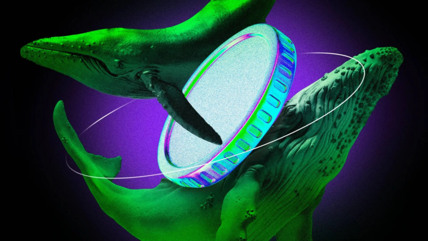 Apa yang Dibeli Crypto Whale di Tengah Ketegangan Geopolitik