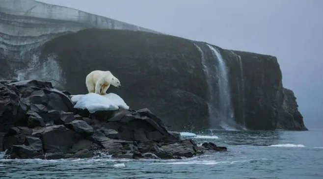 5 Negara yang Letaknya Paling Utara di Dunia