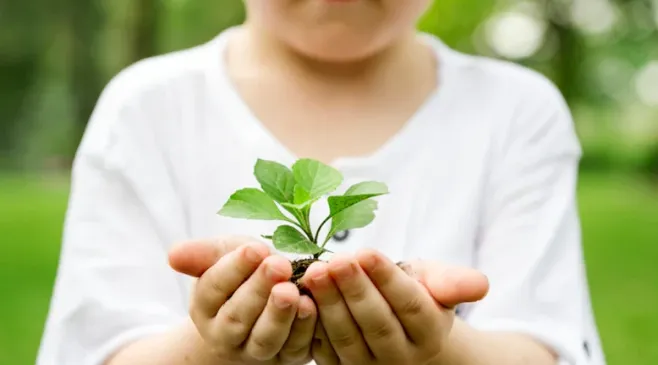 Tanggal 10 Januari Memperingati Hari Apa? Ada Gerakan Sejuta Pohon hingga Tritura