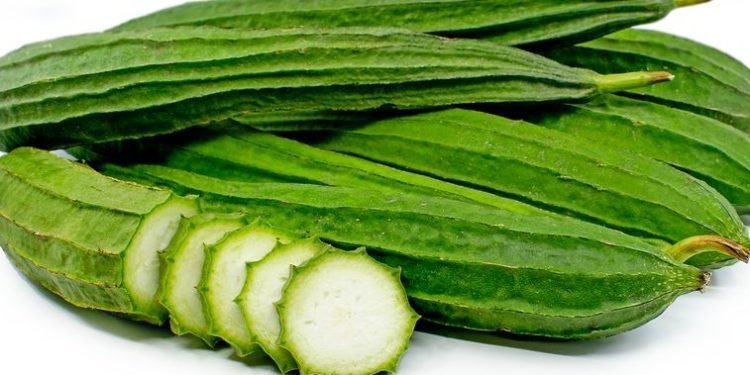 Ragam Khasiat Sayur Oyong yang Diprediksi Dapat Menyembuhkan Diabetes