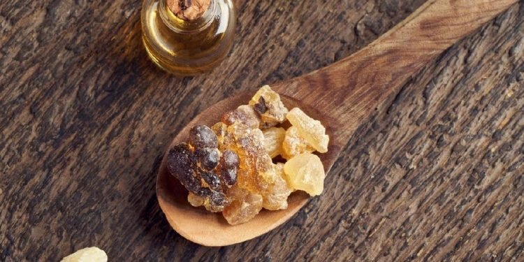 Selain untuk Dupa, Ternyata ini Deretan Manfaat Kemenyan yang Jarang Diketahui