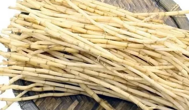 Manfaat Akar Alang-Alang yang Jarang Orang Tahu