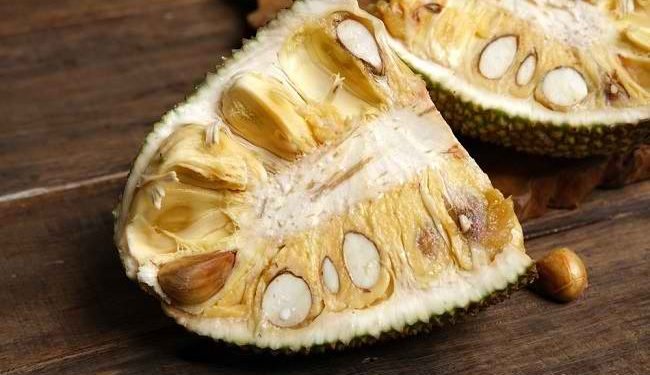 Manfaat Biji Cempedak untuk Kesehatan, Begini Cara Mengolahnya