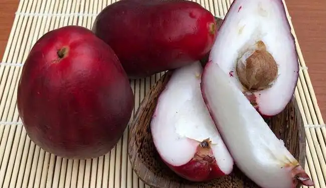 Kandungan Nutrisi dan Manfaat Jambu Jamaika untuk Kesehatan Tubuh