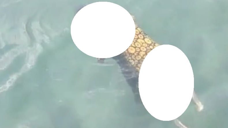 Viral Mayat Wanita Berdaster Ditemukan Mengapung di Pantai Camplong Sampang