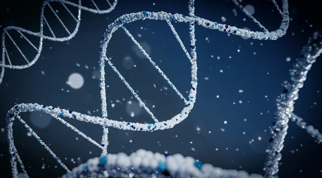 Bagaimana Cara Kerja Tes DNA?