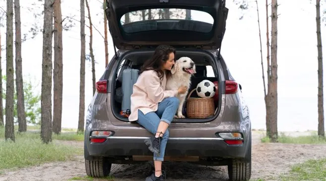 Tips Mudik Aman Membawa Hewan Peliharaan Supaya Tidak Stress di Perjalanan