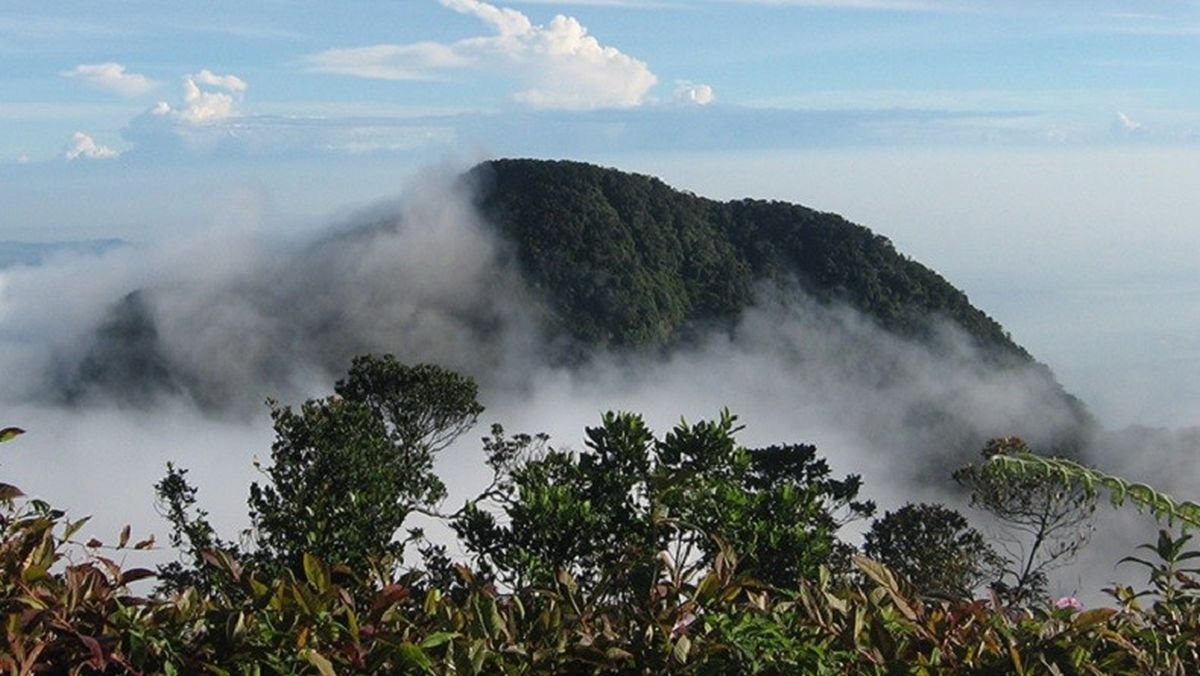 Pria 60 Tahun Dikabarkan Hilang di Gunung Salak Sejak Minggu Pagi