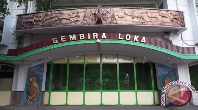 Viral, Video Pernikahan dengan Konsep Tidak Biasa di Gembira Loka