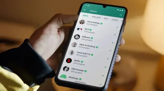 Cara Mudah Menyembunyikan Status Online di WhatsApp