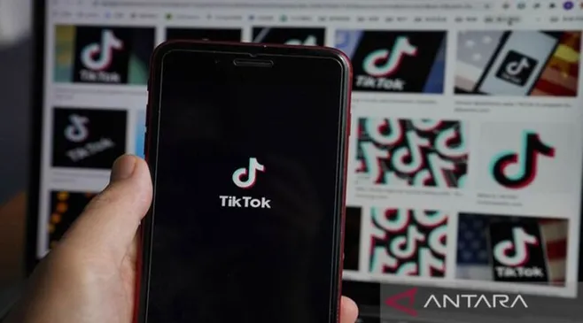 Cara Mengaktifkan TikTok AdSense dan Jenis Monetisasinya!